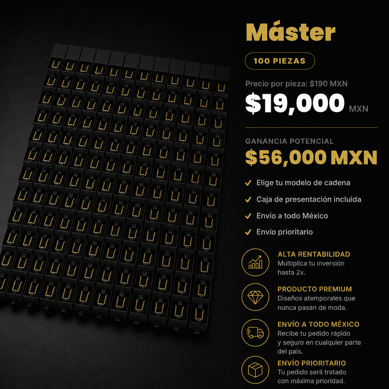 Paquete Máster (100 Piezas)